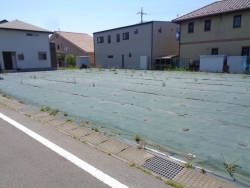 画像１