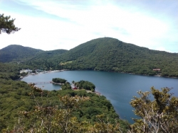 画像２