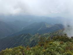 画像１
