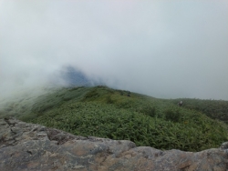 画像２