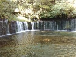画像１